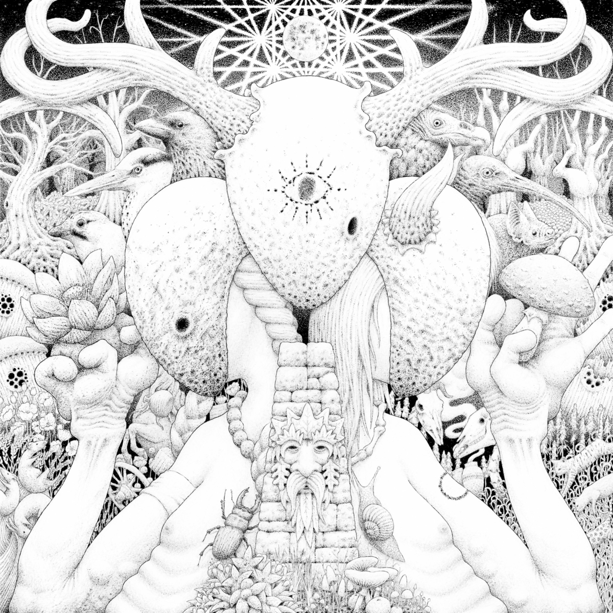 Tales_Of_A_Liquid_Dawn_-_Morning_(2022)